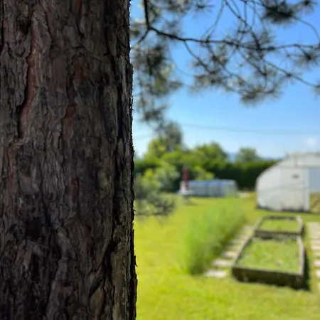 Ferienhaus Of Ilidza And Rakovica