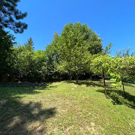 Of Ilidza And Rakovica * Sarajevo